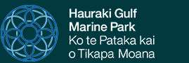 Hauraki Gulf Marine Park